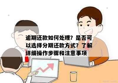 逾期还款如何处理？是否可以选择分期还款方式？了解详细操作步骤和注意事项