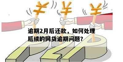 逾期2月后还款，如何处理后续的网贷逾期问题？