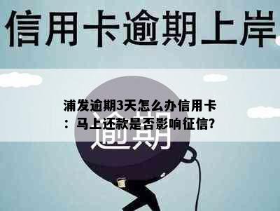 浦发逾期3天怎么办信用卡：马上还款是否影响征信？