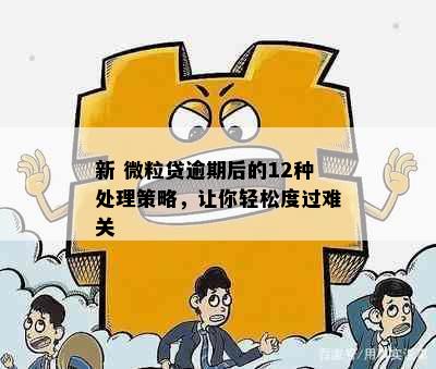 新 微粒贷逾期后的12种处理策略，让你轻松度过难关