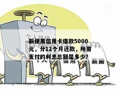 新使用信用卡借款5000元，分12个月还款，所需支付的利息总额是多少？