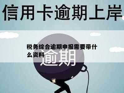 税务综合逾期申报需要带什么资料