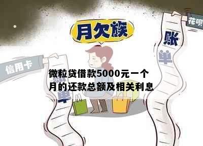 微粒贷借款5000元一个月的还款总额及相关利息