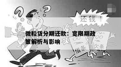 微粒贷分期还款：宽限期政策解析与影响