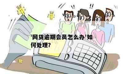 '网贷逾期会员怎么办'如何处理？