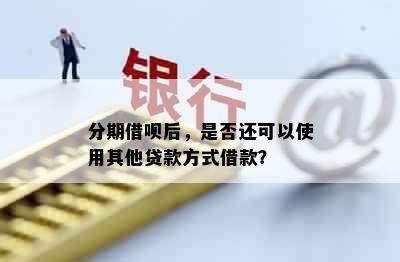 分期借呗后，是否还可以使用其他贷款方式借款？