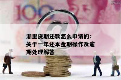 浙里贷期还款怎么申请的：关于一年还本金期操作及逾期处理解答