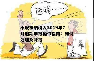 小规模纳税人2019年7月逾期申报操作指南：如何处理及补报