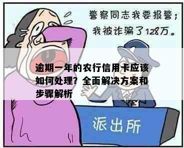 逾期一年的农行信用卡应该如何处理？全面解决方案和步骤解析