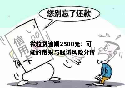 微粒贷逾期2500元：可能的后果与起诉风险分析