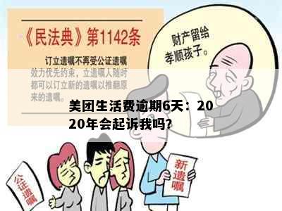 美团生活费逾期6天：2020年会起诉我吗？