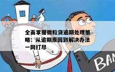 全面掌握微粒贷逾期处理策略：从逾期原因到解决办法一网打尽