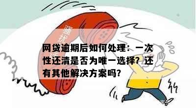 网贷逾期后如何处理：一次性还清是否为唯一选择？还有其他解决方案吗？