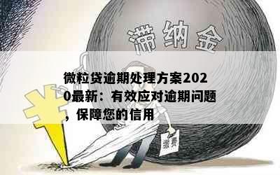 微粒贷逾期处理方案2020最新：有效应对逾期问题，保障您的信用