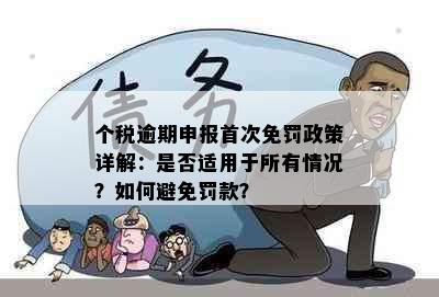 个税逾期申报首次免罚政策详解：是否适用于所有情况？如何避免罚款？