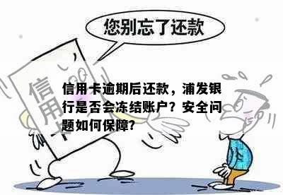 信用卡逾期后还款，浦发银行是否会冻结账户？安全问题如何保障？