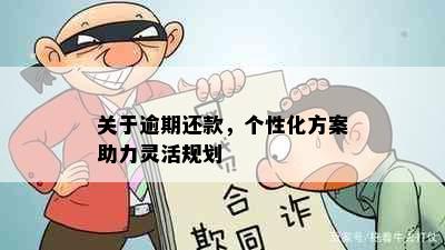 关于逾期还款，个性化方案助力灵活规划