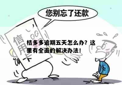 桔多多逾期五天怎么办？这里有全面的解决办法！