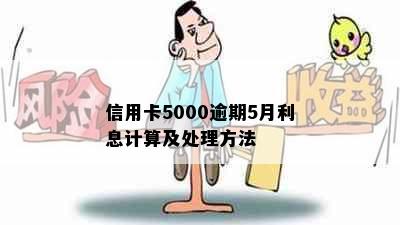 信用卡5000逾期5月利息计算及处理方法