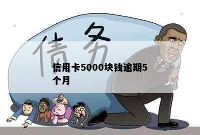 信用卡5000块钱逾期5个月