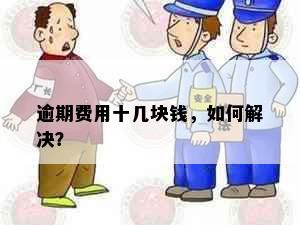 逾期费用十几块钱，如何解决？