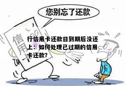 行信用卡还款日到期后没还上：如何处理已过期的信用卡还款？