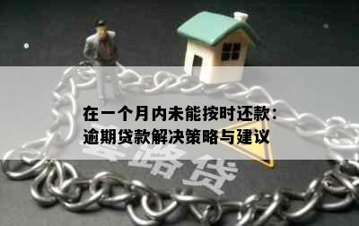 在一个月内未能按时还款：逾期贷款解决策略与建议