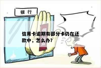 信用卡逾期有部分卡仍在还款中，怎么办？