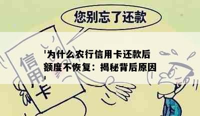 '为什么农行信用卡还款后额度不恢复：揭秘背后原因'