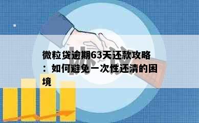 微粒贷逾期63天还款攻略：如何避免一次性还清的困境