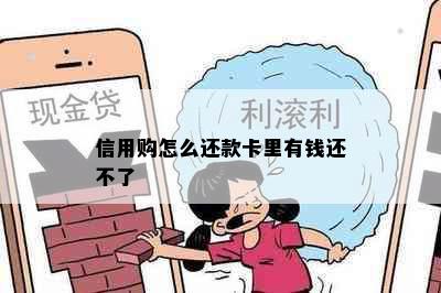 信用购怎么还款卡里有钱还不了