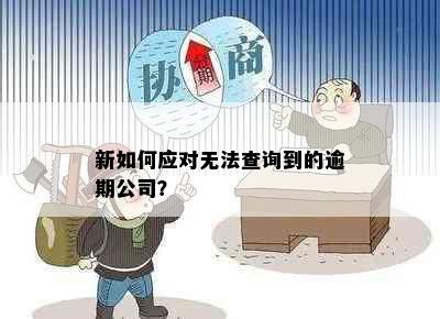 新如何应对无法查询到的逾期公司？