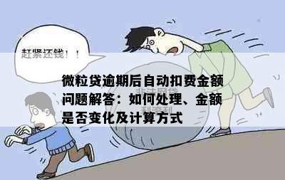 微粒贷逾期后自动扣费金额问题解答：如何处理、金额是否变化及计算方式