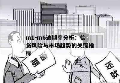 m1-m6逾期率分析：信贷风险与市场趋势的关键指标