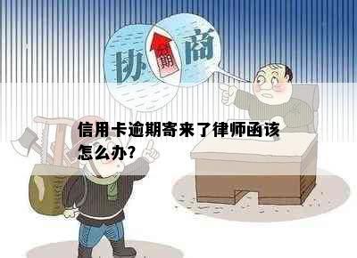 信用卡逾期寄来了律师函该怎么办？