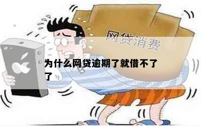 为什么网贷逾期了就借不了了