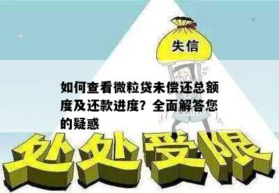 如何查看微粒贷未偿还总额度及还款进度？全面解答您的疑惑