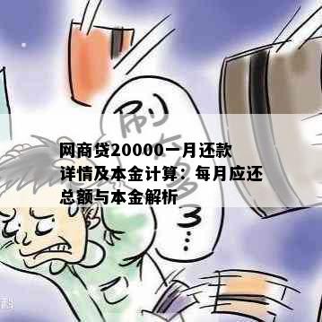 网商贷20000一月还款详情及本金计算：每月应还总额与本金解析