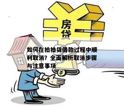 如何在拍拍贷借款过程中顺利取消？全面解析取消步骤与注意事项