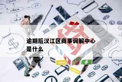 逾期后汉江区商事调解中心是什么