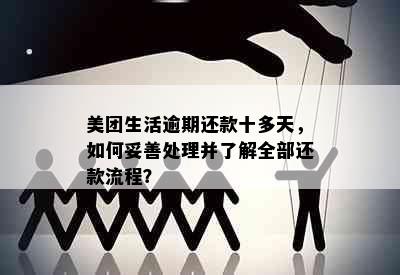 美团生活逾期还款十多天，如何妥善处理并了解全部还款流程？