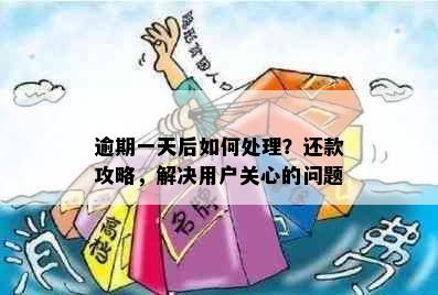 逾期一天后如何处理？还款攻略，解决用户关心的问题