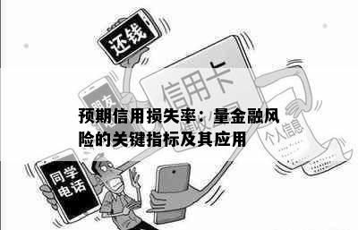 预期信用损失率：量金融风险的关键指标及其应用