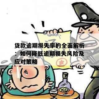 贷款逾期损失率的全面解析：如何降低逾期损失风险及应对策略