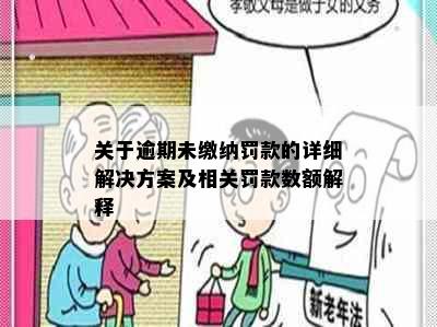 关于逾期未缴纳罚款的详细解决方案及相关罚款数额解释