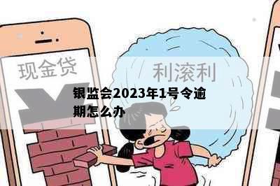 银监会2023年1号令逾期怎么办