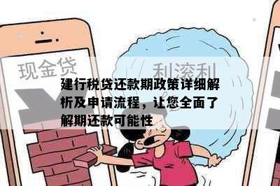 建行税贷还款期政策详细解析及申请流程，让您全面了解期还款可能性