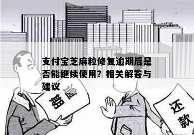 支付宝芝麻粒修复逾期后是否能继续使用？相关解答与建议