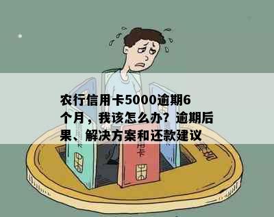 农行信用卡5000逾期6个月，我该怎么办？逾期后果、解决方案和还款建议