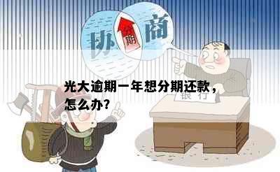 光大逾期一年想分期还款，怎么办？